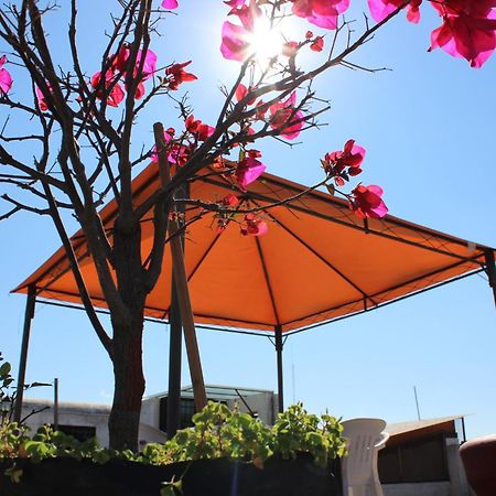 Hotel Oaxaca Magico Dış mekan fotoğraf